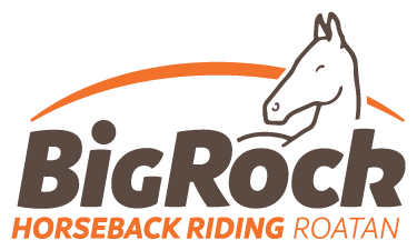 horseback-riding-roatan